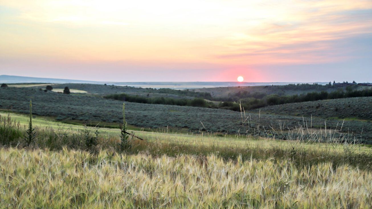 2191 Rising Sage Rd, Tetonia, ID 83452