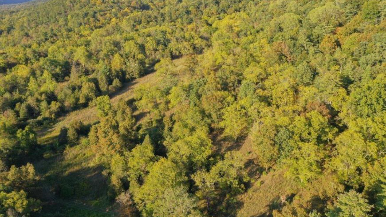 Brocks Gap Rd, Fulks Run, VA 22830