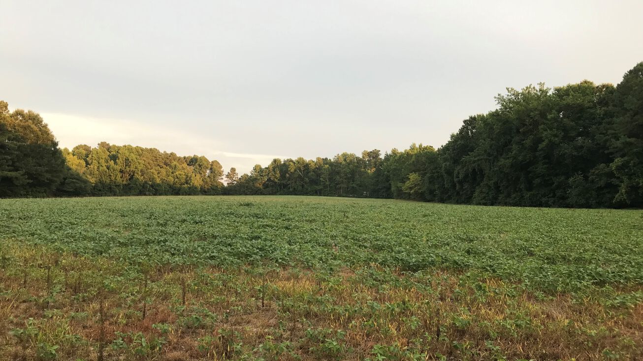 Century Farm Rd, Rolesville, NC 27571