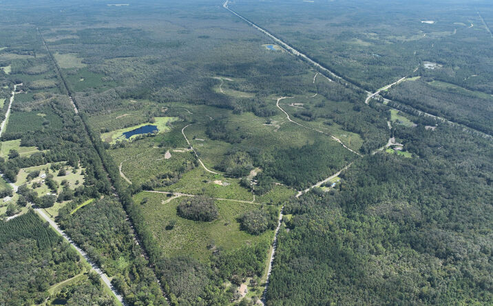 Pictures of Land property located at Turkey Scratch Rd, Monticello, FL 32344 for sales - image #1