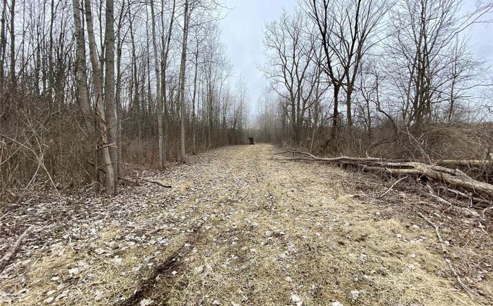 Pictures of Land property located at S Forest Ave, Richmond, MI 48050 for sales - image #1