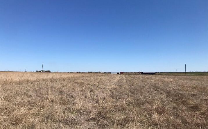Pictures of Land property located at 15820 County Line Rd, Elgin, TX 78621 for sales - image #1