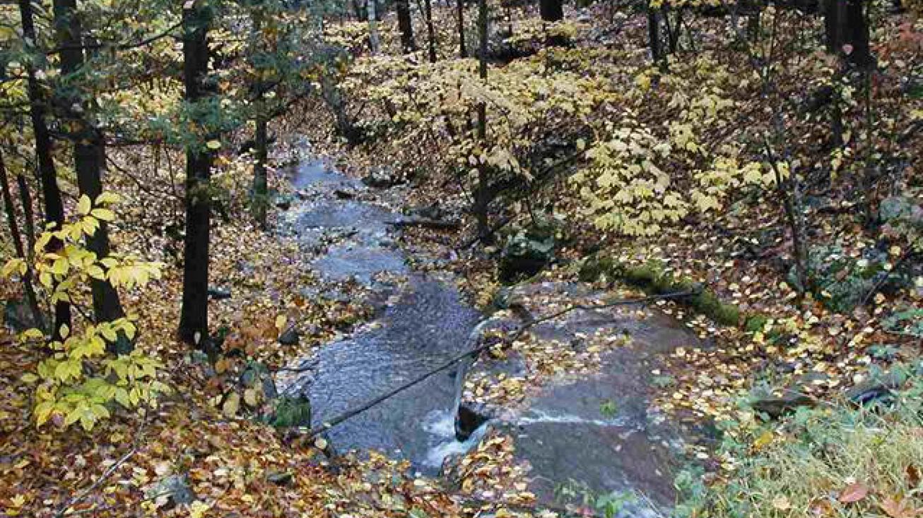 Tbd Bogardus Road, Acra, NY 12413