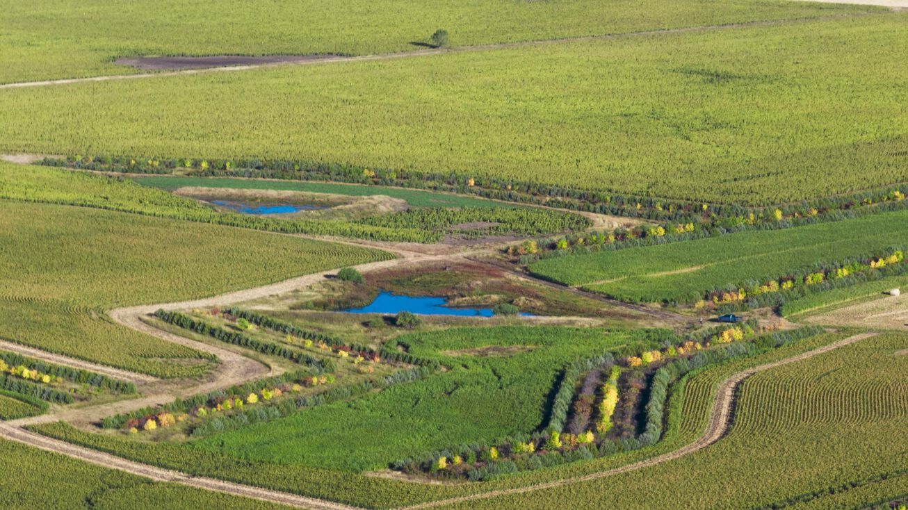 22557 Hiel Rd, New Underwood, SD 57761