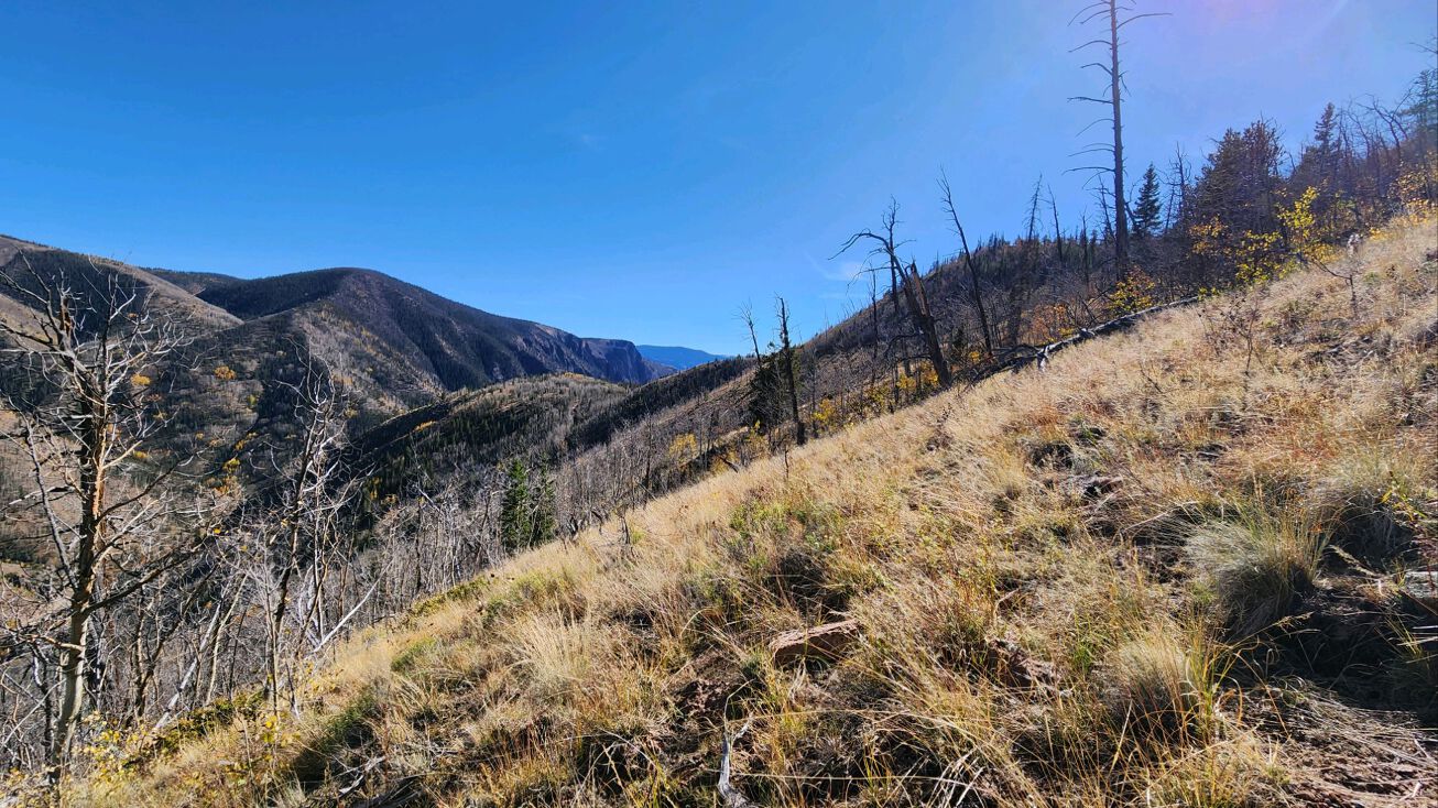 TBD Co Rd 502, Creede, CO 81130