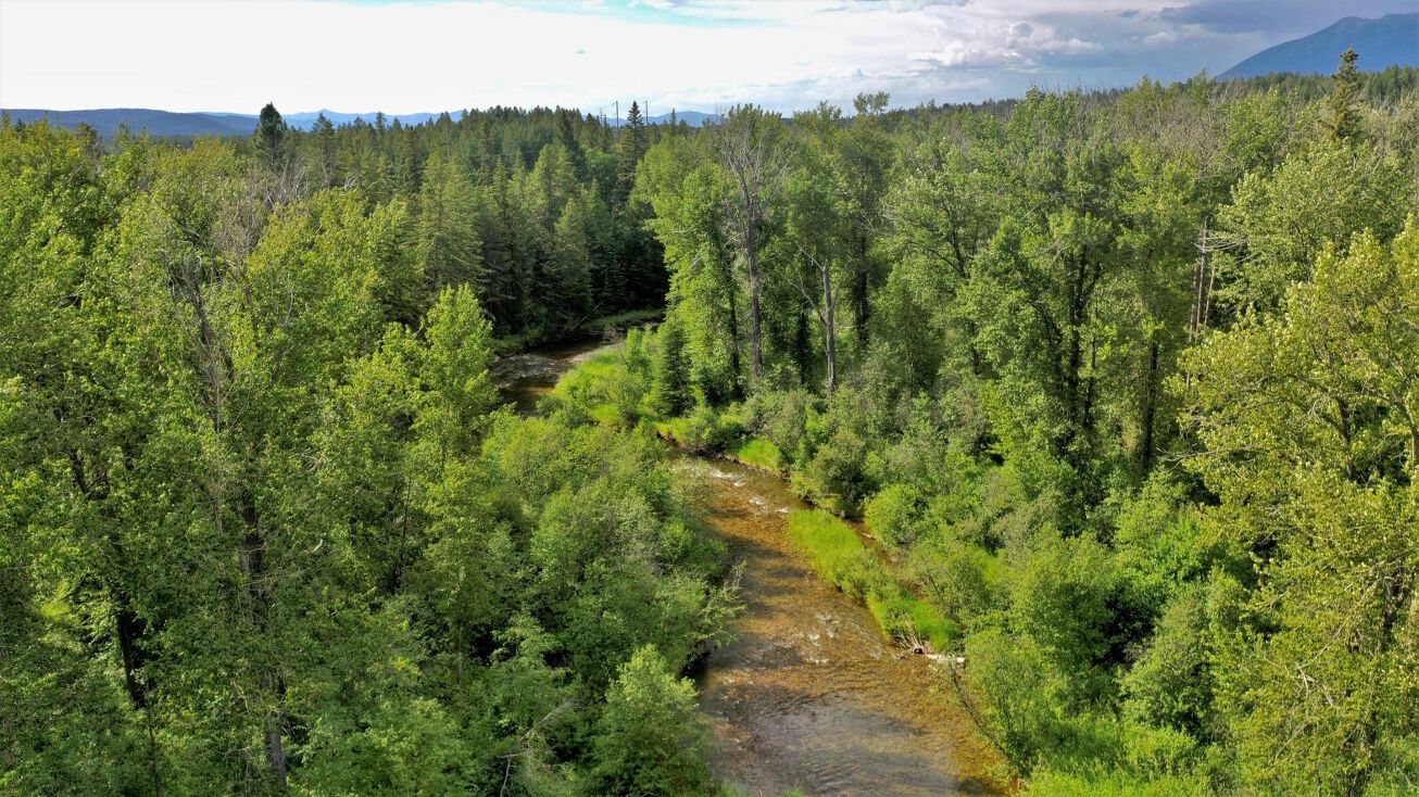 TR 8A4 & 1F US Highway 93 S, Fortine, MT 59918