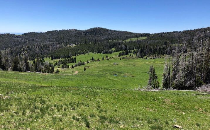 10840 Indian Creek Road, Townsend, MT 59644 | Crexi.com