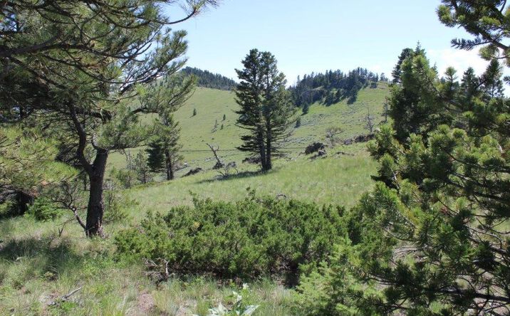 TBD Outer Loop Road, Cascade, MT 59421 | Crexi.com