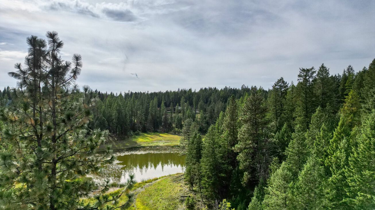 135 Tamarack Drive, Kalispell, MT 59901