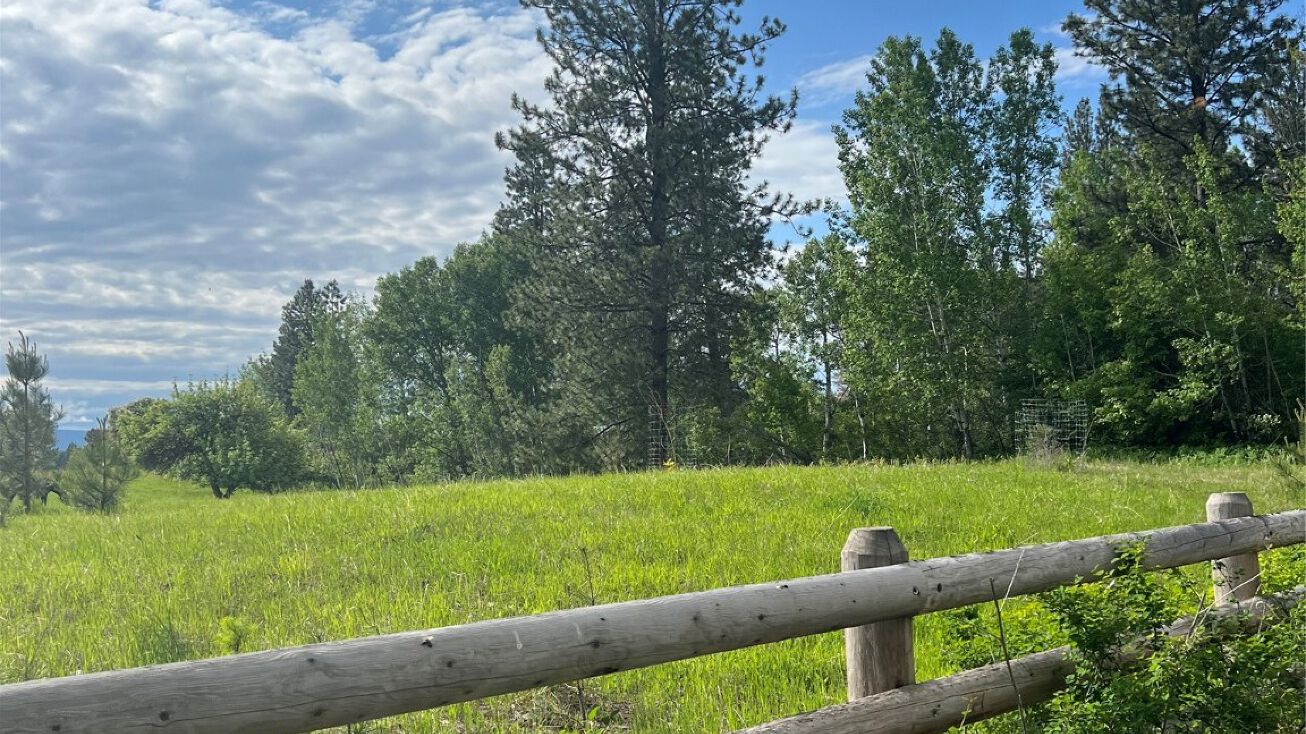 NHN Finley Point Road Finley Point, Polson, MT 59860