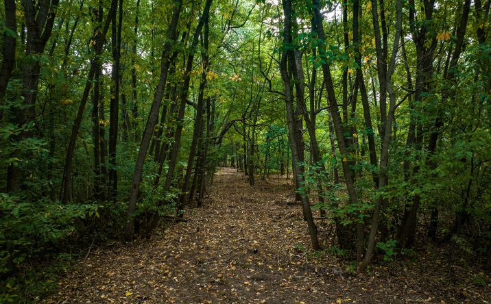 Pictures of Land property located at 0 Red Arrow Highway, Bridgman, MI 49106 for sales - image #1