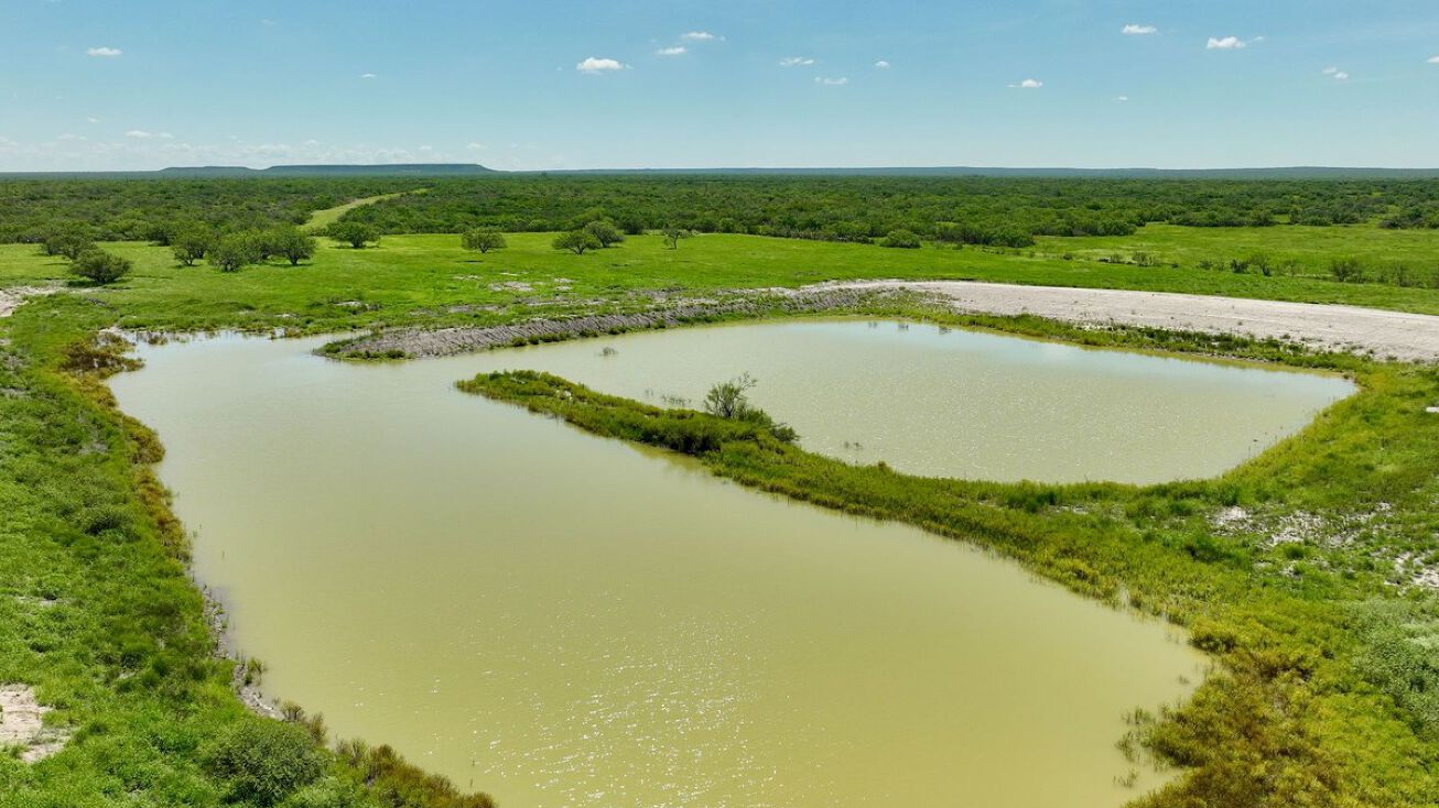 M.H. Wheeler Ranch, McMullen County, Hwy 16, Tilden, TX 78072