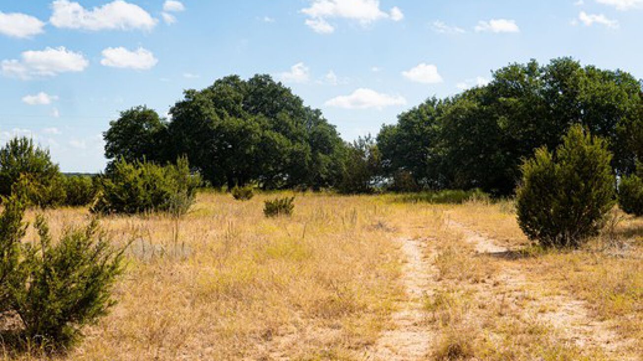 299+/ Acres Coleman Farm, Uvalde, TX 78801