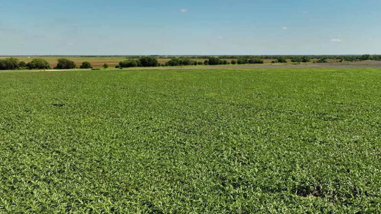 375+/ La Pryor Farm, La Pryor, TX 78872