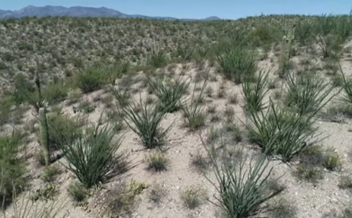 Pictures of Land property located at 110 N Redington Rd, San Manuel, AZ 85631 for sales - image #1