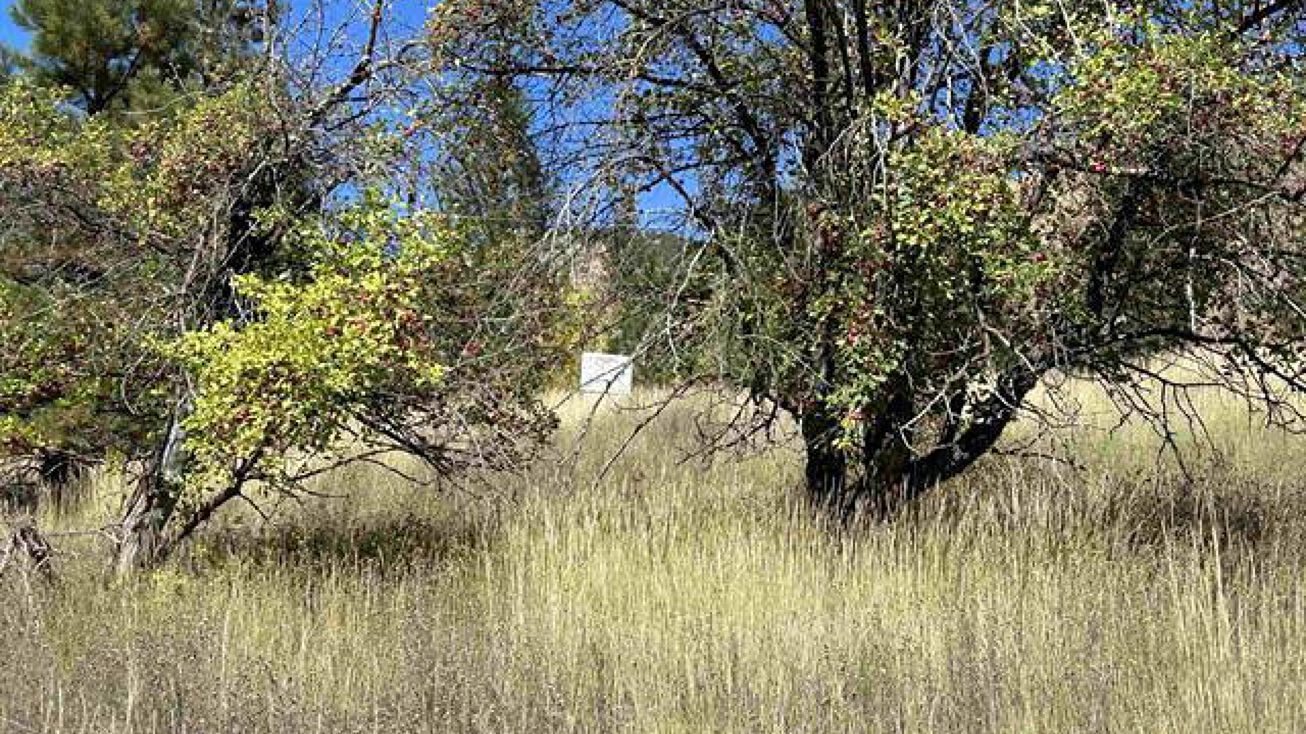 Sellman Dr, Lowman, ID 83637