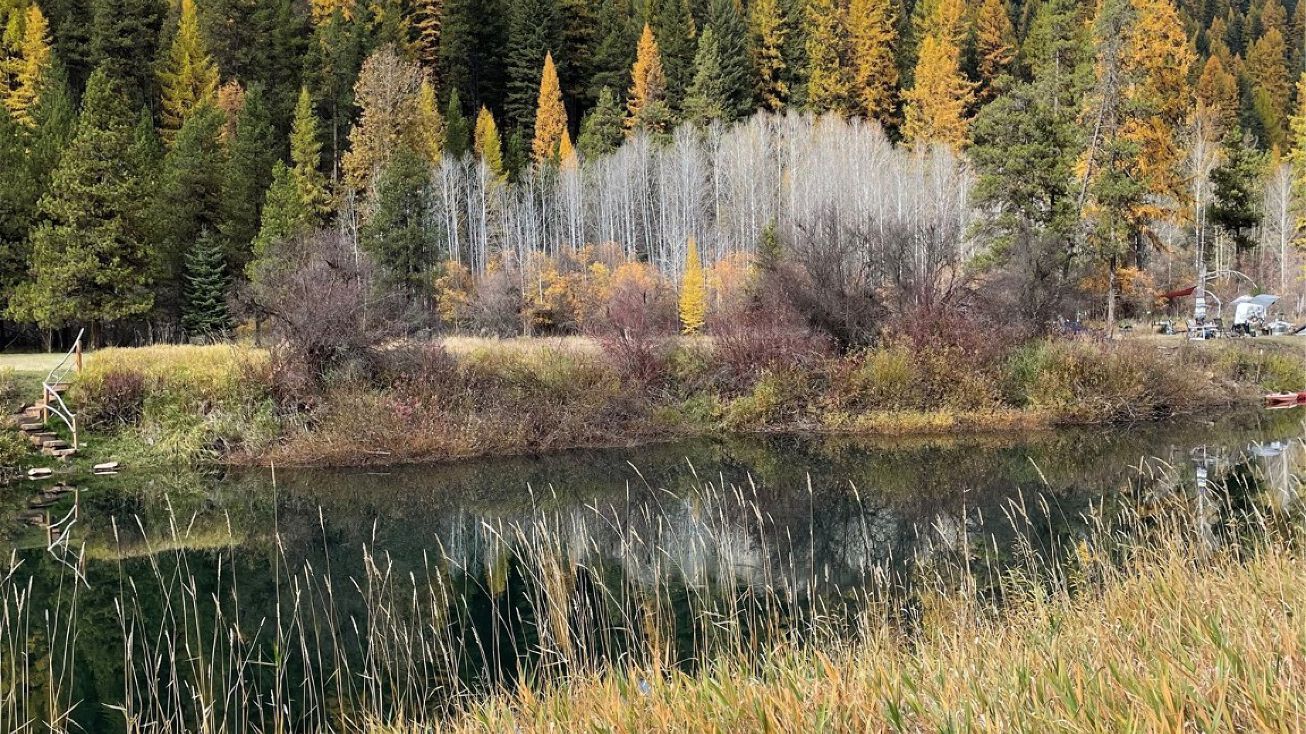 1054 Tamarack Lane, Yaak, MT 59935