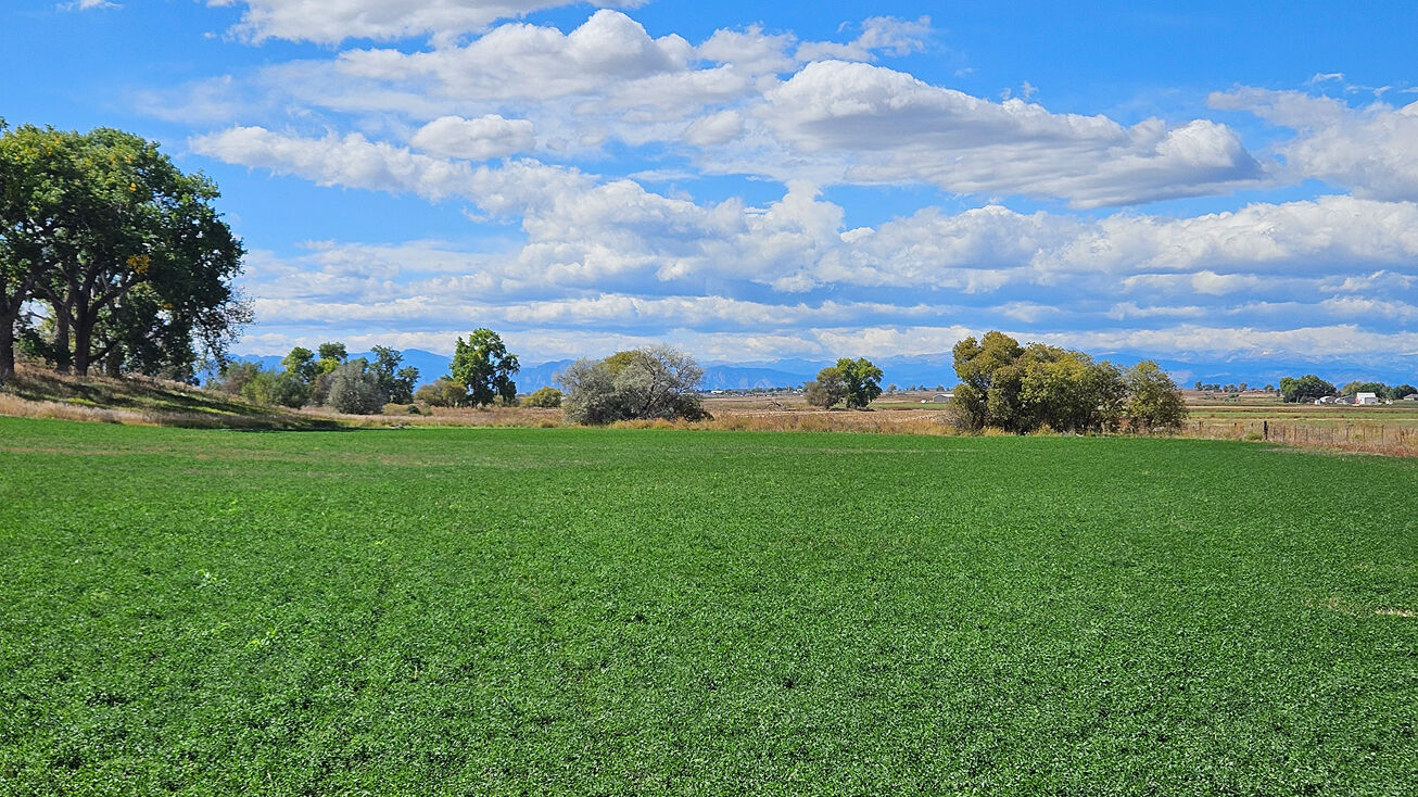 Vacant, Fort Lupton, CO, Fort Lupton, US 80621