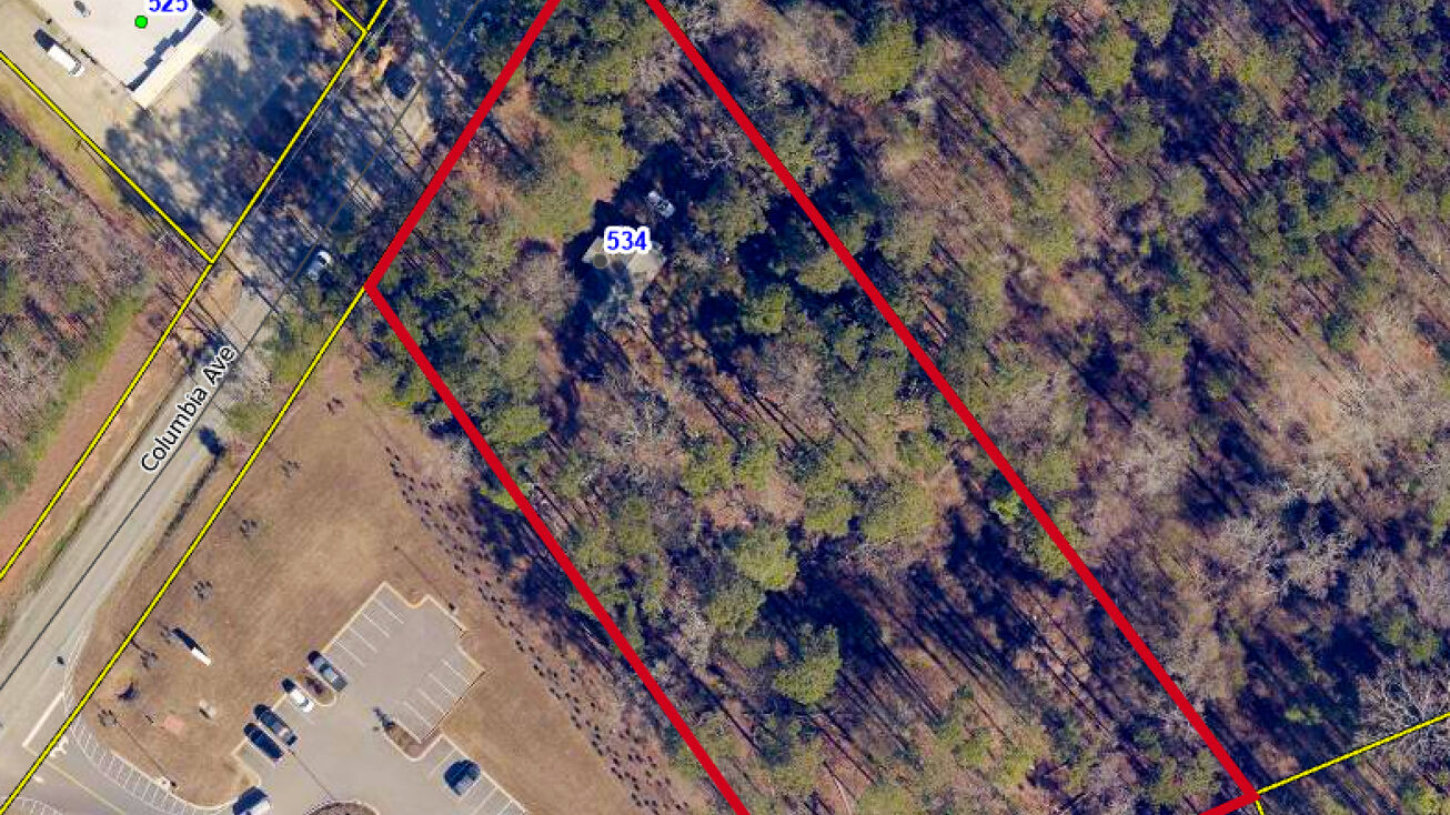 534 Columbia Ave, Chapin, SC 29036