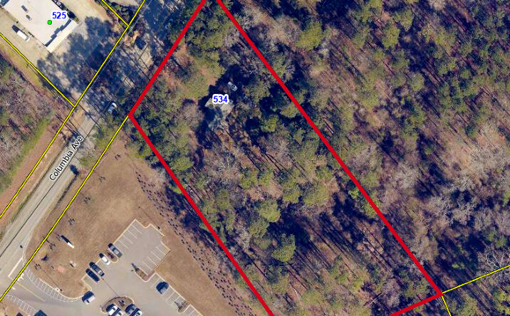 Pictures of Land property located at 534 Columbia Ave, Chapin, SC 29036 for sales - image #1