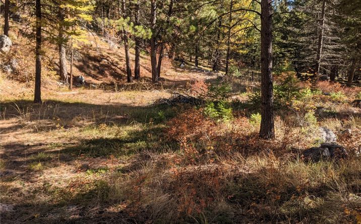 image of property at PARCEL B BEAR CREEK TRAIL Victor MT 59875