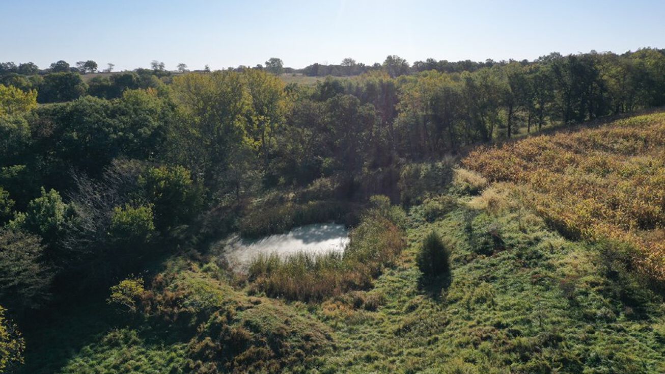 67 Acres Rural, Princeton, MO 64673