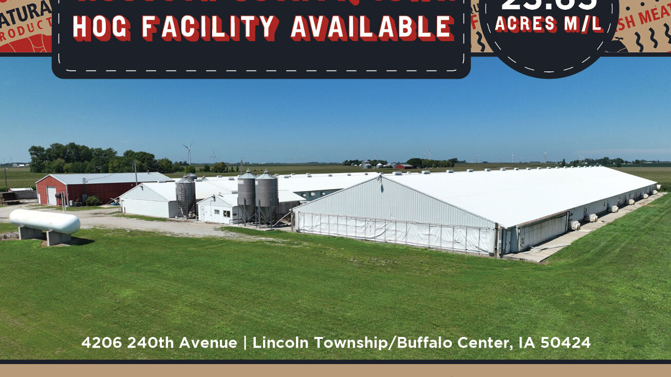4206 240th Ave, Buffalo Center, IA 50424