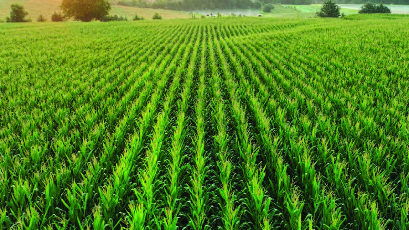 Rustic Avenue & 285th Lane, East Peru, IA 50222