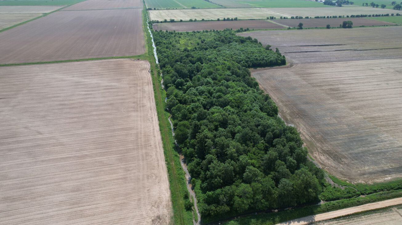 Greene Rd 318, Paragould, AR 72450