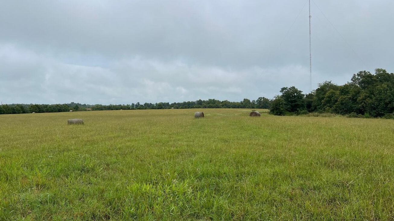 Crocker Ranch Rd, Searcy, AR 72143