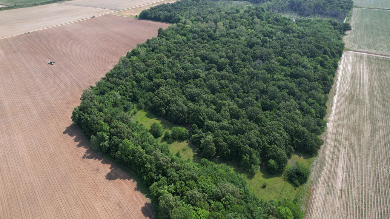 Greene Rd 313 22.00 Acres, Bono, AR 72416