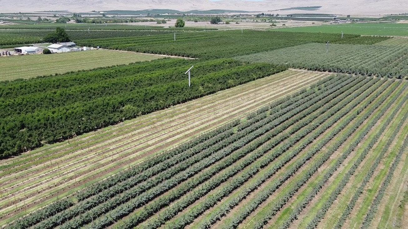 281 Lateral C Rd, Wapato, WA 98951