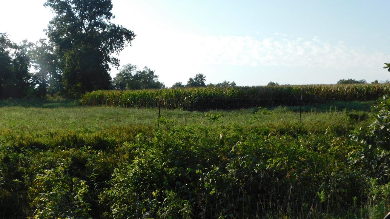 Audrain Rd E, Centralia, MO 65240