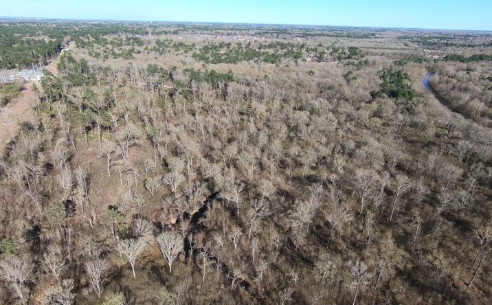 Pictures of Land property located at 2903 Williamson Way, Shreveport, LA 71118 for sales - image #1