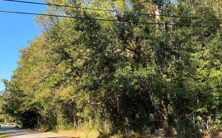 Pictures of Land, Multifamily, Office, Retail property located at 00 Elm Street, Picayune, MS 39466 for sales - image #1