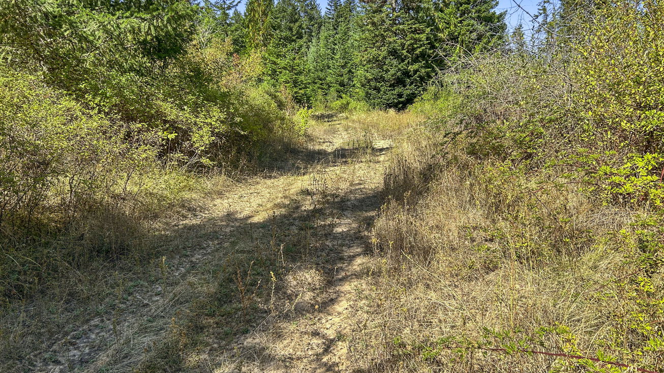 NKA Cedar Creek, Kendrick, ID 83537