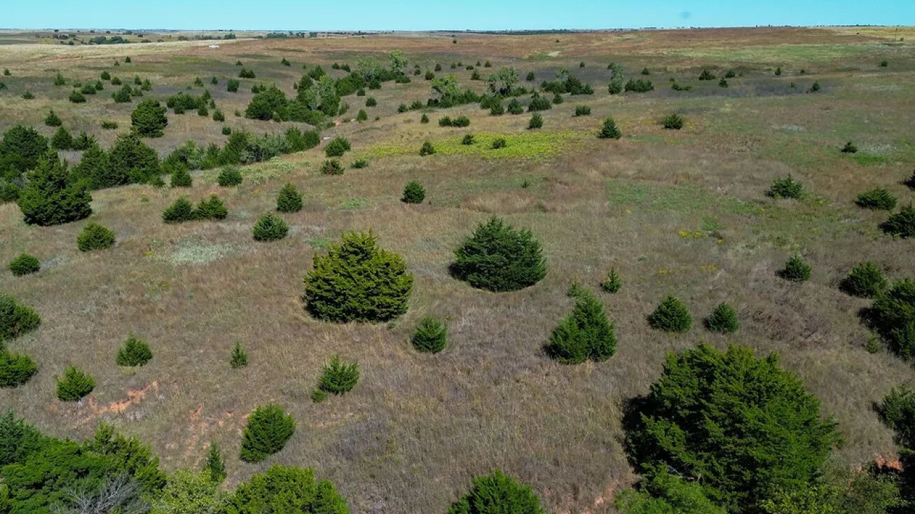 E county rd 930, Arapaho, OK 73620