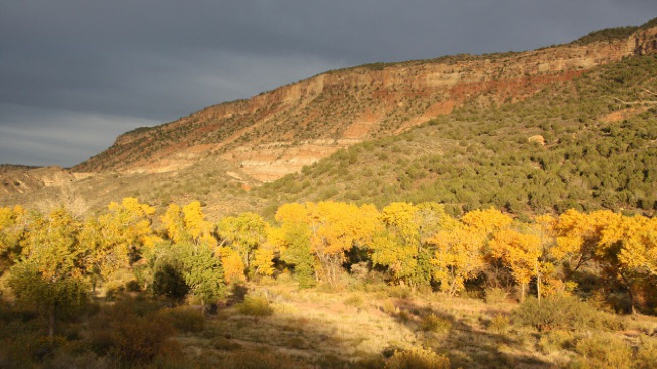 Kolob Terrace Rd, Virgin, UT 84779