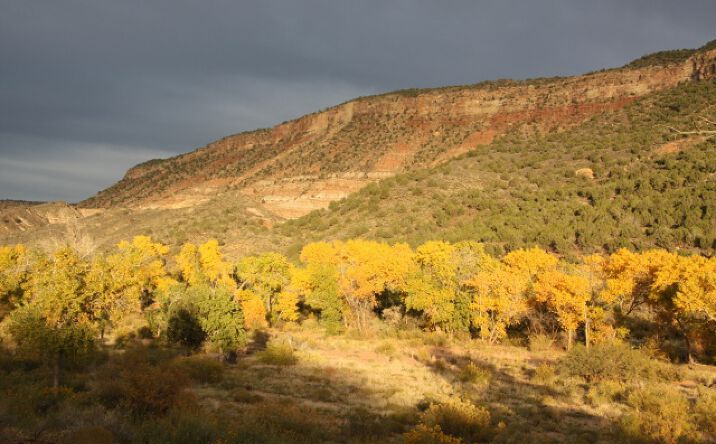 Pictures of Land property located at Kolob Terrace Rd, Virgin, UT 84779 for sales - image #1