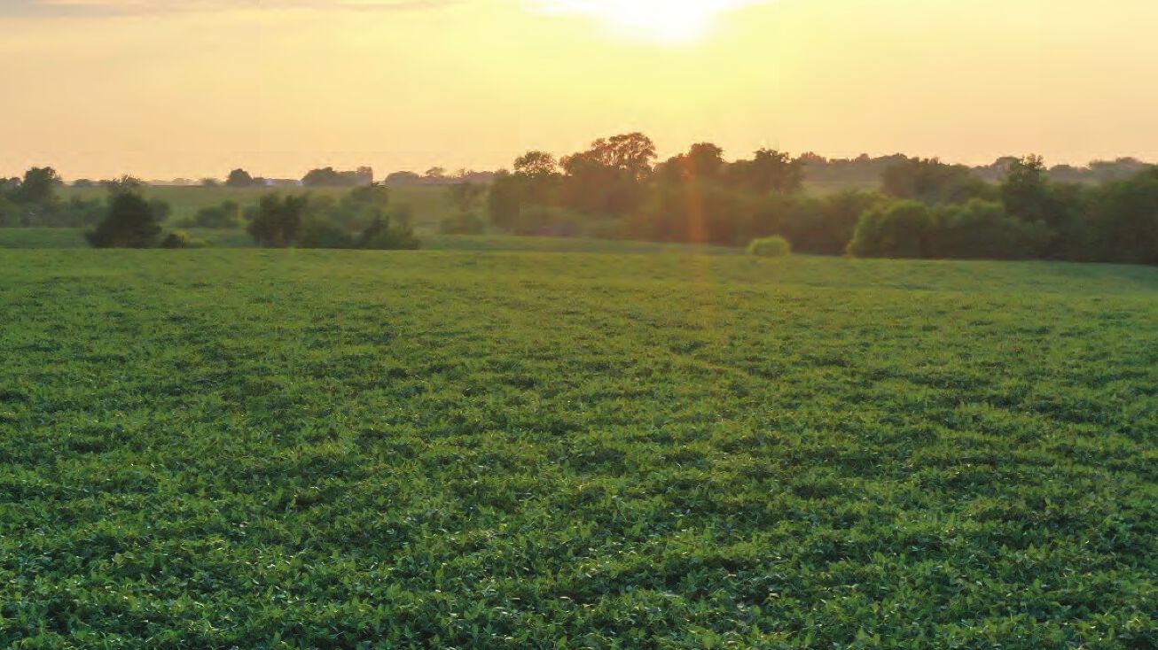 120.67 acres Highway S31, Milo, IA 50166