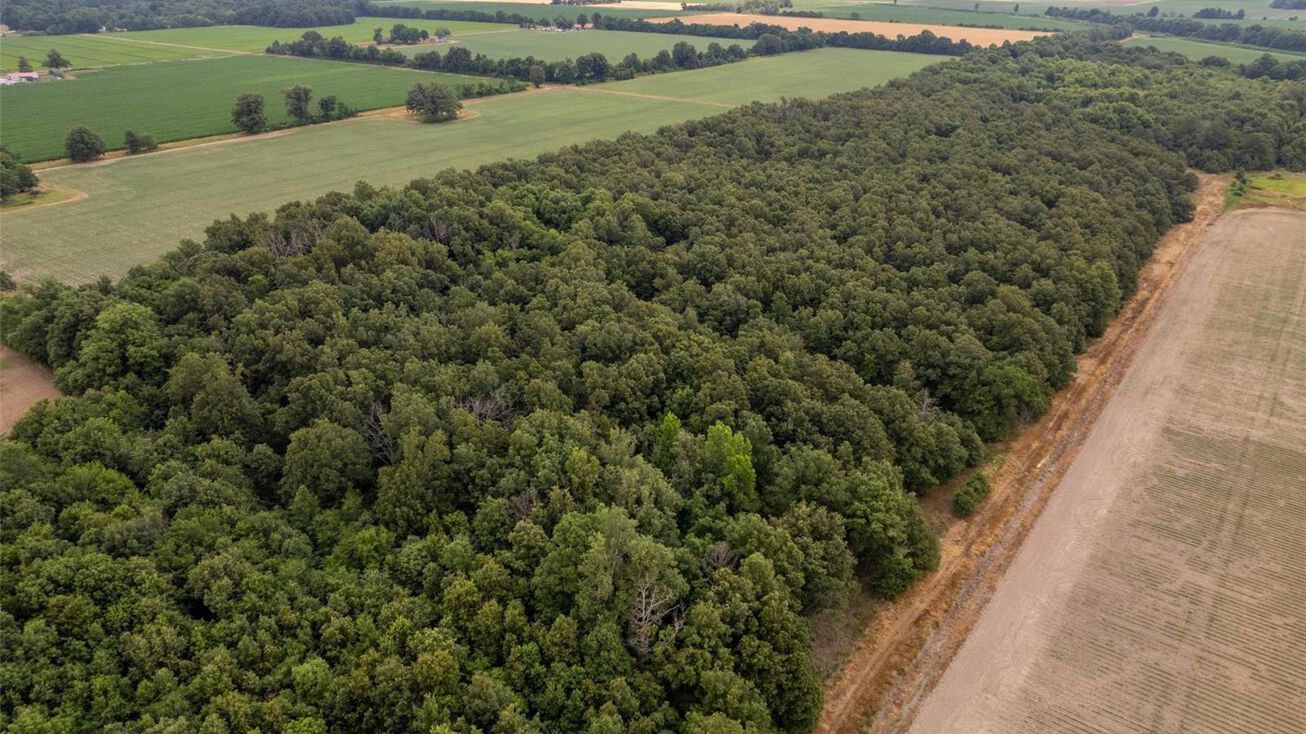 0 E N Hwy, Qulin, MO 63961