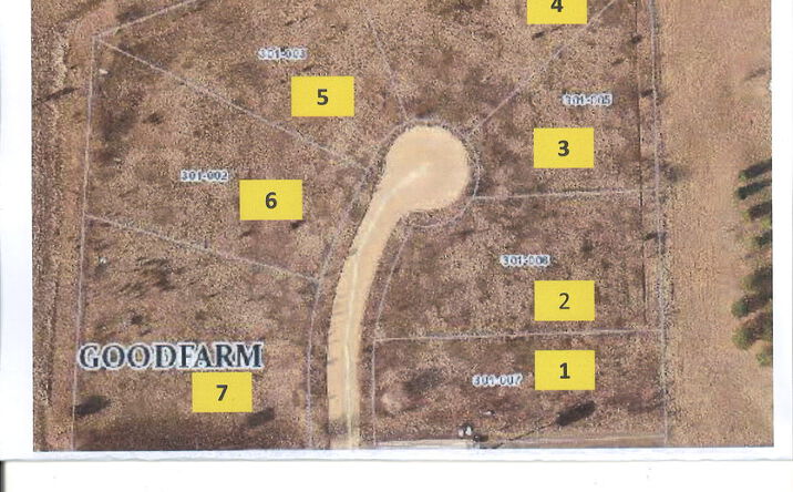 Pictures of Land property located at Dwight Circle Sub Lots 1-8, Dwight, IL 60420 for sales - image #1