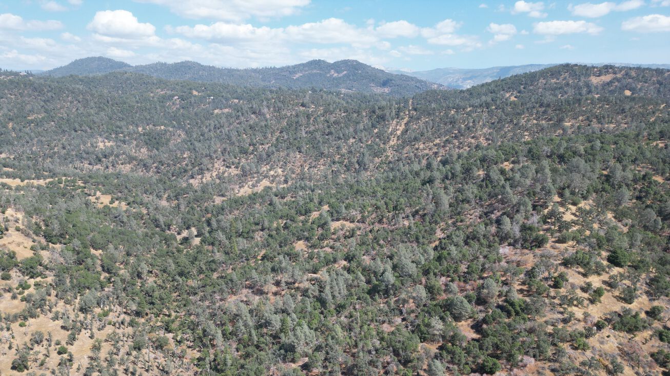 Rd 236, O'Neals, CA 93645