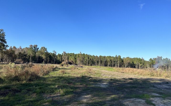 Pictures of Retail, Office, Multifamily property located at US-178, Harleyville, SC 29477 for sales - image #1