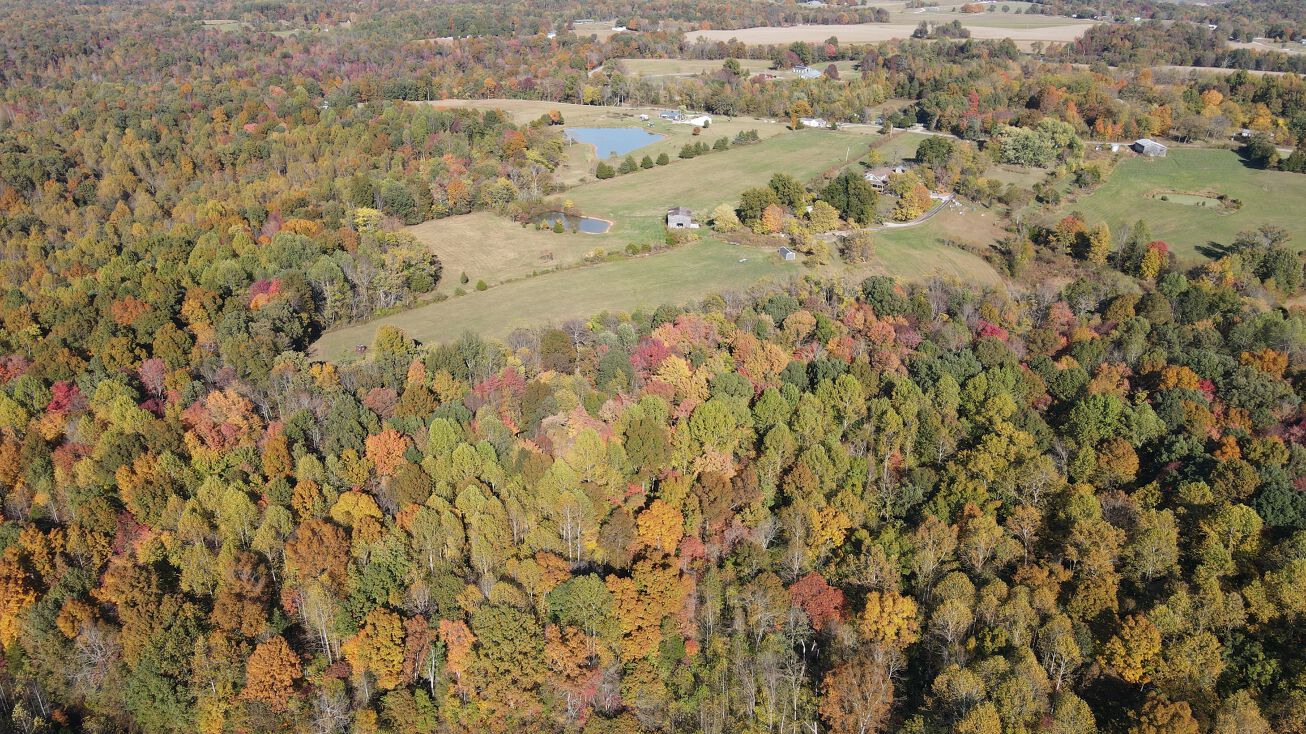 395 Jenny Rd, Cave City, KY 42127