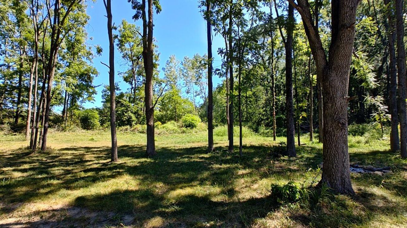 9745 E Adams Rd, Pierceton, IN 46562