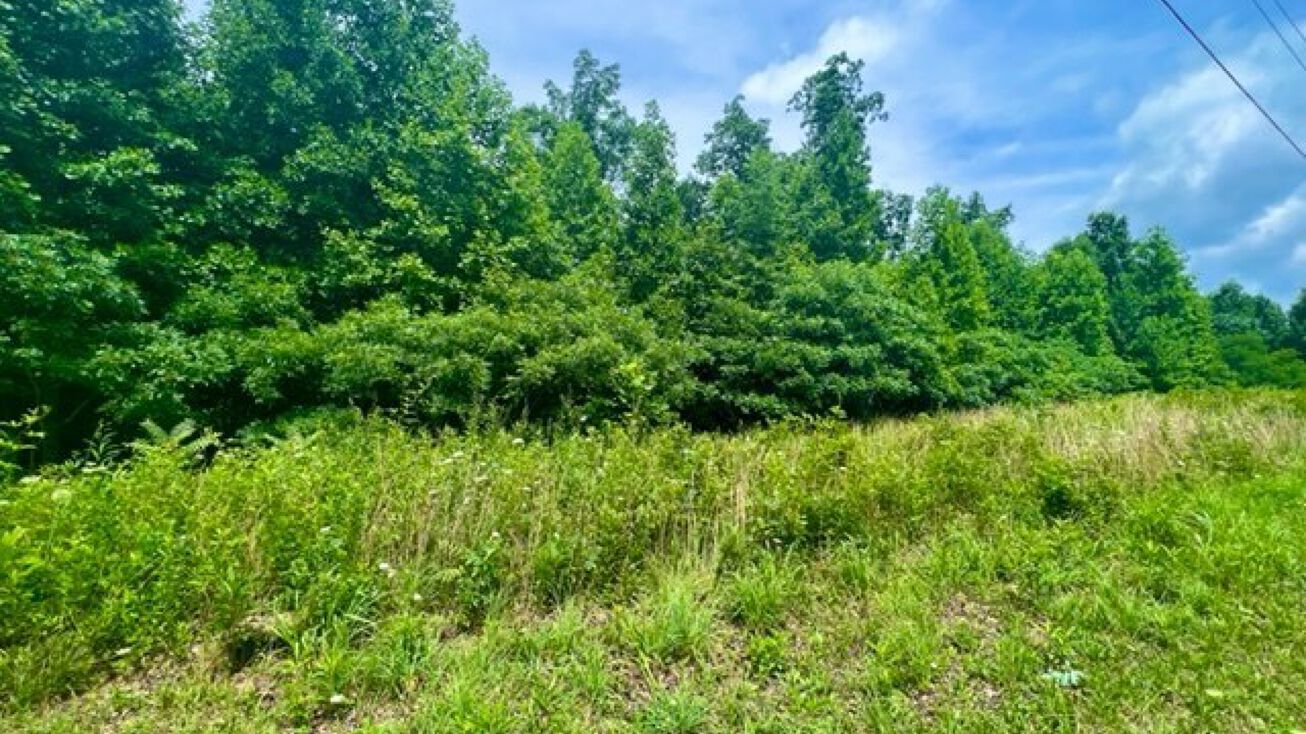 0 White Oak Lane, Mantua Township, NJ 38554