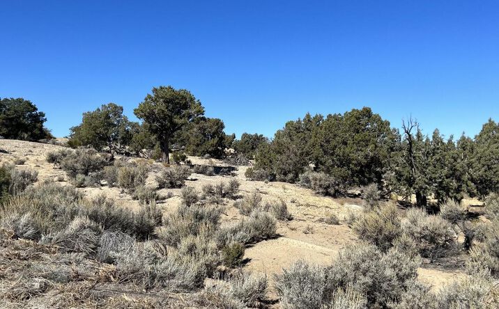 Pictures of Land, Multifamily property located at LOT 7 ROAD 2553, Aztec, NM 87410 for sales - image #1