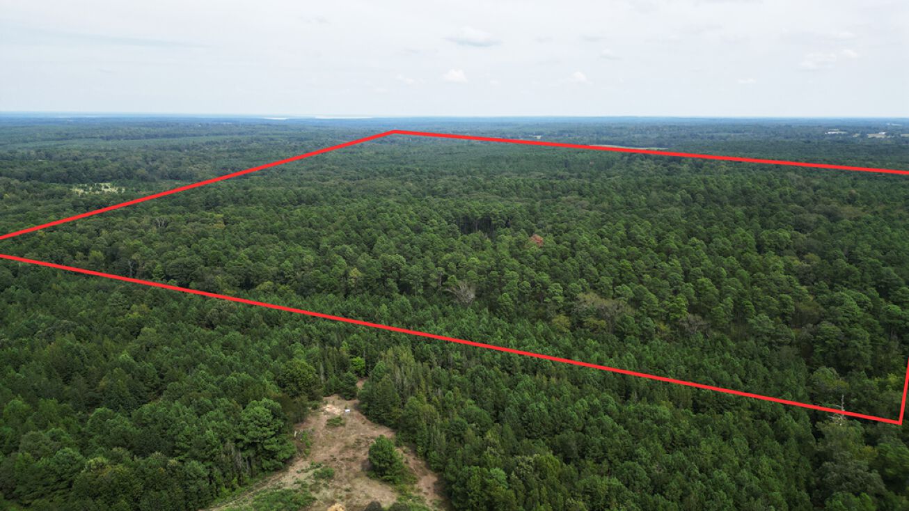 TBD 2338, Douglassville, TX 75560