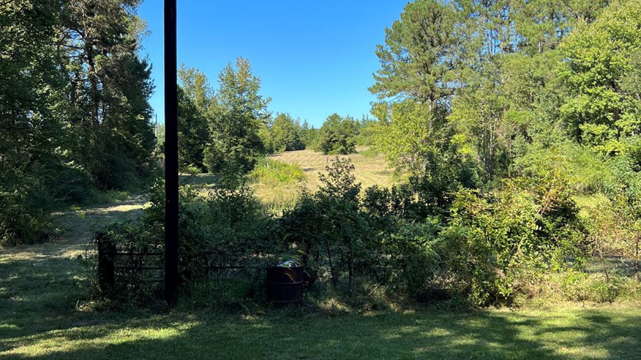 11746 FM 995, Douglassville, TX 75560